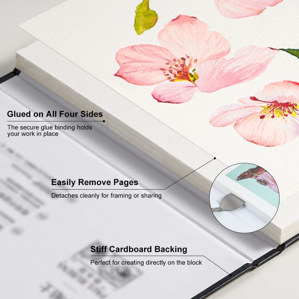 Paul Rubens Watercolor Paintin - Photography Book ulasan dan harga